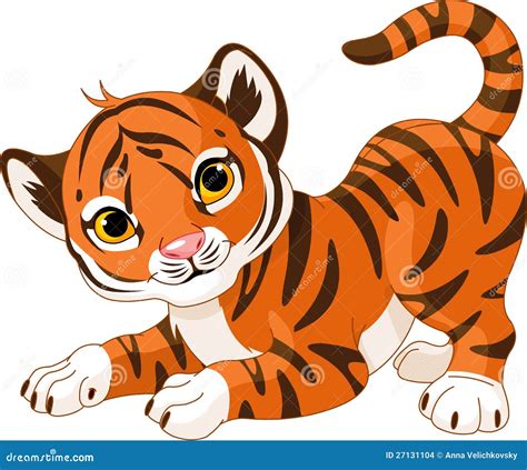 Playful Tiger Cub Stock Vector Illustration Of Wildlife 27131104