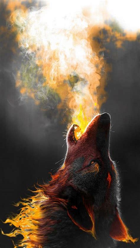 Wolf iPhone Wallpapers - Top Free Wolf iPhone Backgrounds - WallpaperAccess