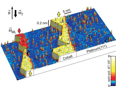 Revealing Magnetic Interactions From Single Atom Magnetization Curves