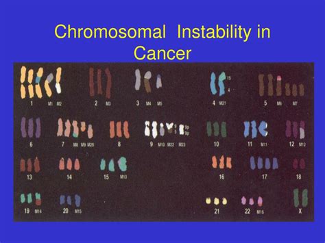 Ppt Types Of Genetic Instability In Cancer Powerpoint Presentation