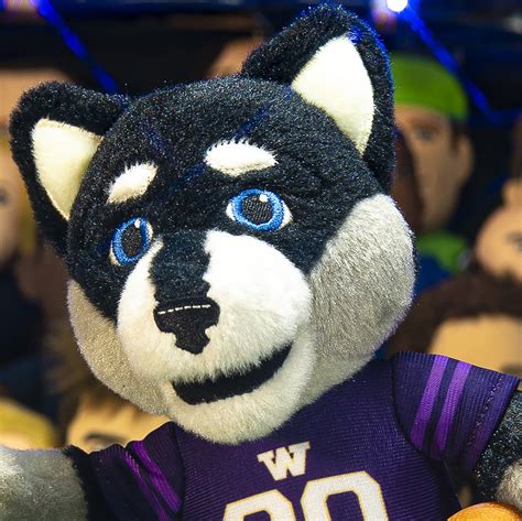 Washington Huskies Harry The Husky 10 Mascot Plush Figure