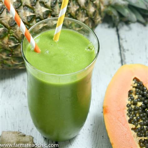 Pineapple Papaya Green Smoothie • The Farmstead Chick Kristi Barnes