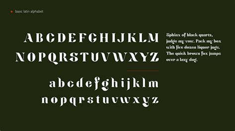 Ginko Display Font Behance