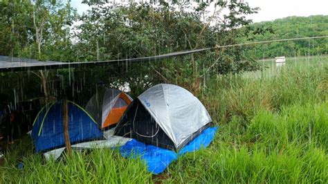 ACAMPAMENTO CHUVA E PESCARIA À BEIRA DO RIO Frango Caipira