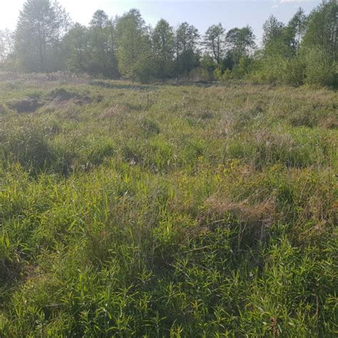 Działka Ciechocinek ul Władysława Jagiełły bez pośrednika 939 m2