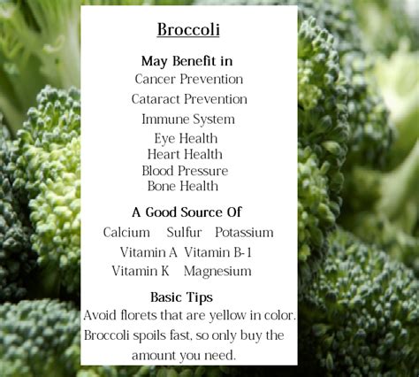 Eating My Way To Better Health: Broccoli Benefits