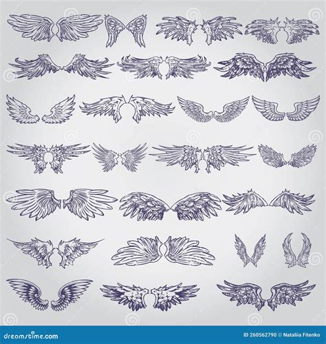 Wing Icons Set In Simple Ctyle Birds And Angel Wings Set Collection