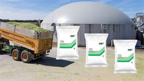 Enhanced Ad Plant Performance With Silage Additives From Omex Omex