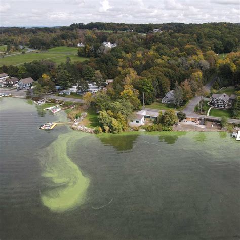 Harmful Algal Bloom Notifications From DEC - Central New York Waterways ...