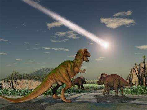 Dinosaurs A New Discovery From Scientists Thats How Long They Became