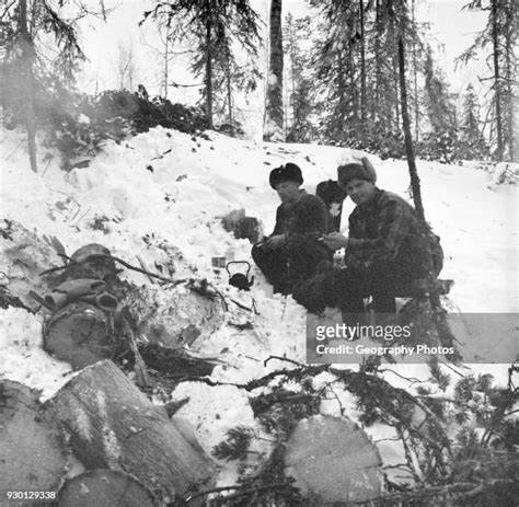 Forest 1959 Photos And Premium High Res Pictures Getty Images