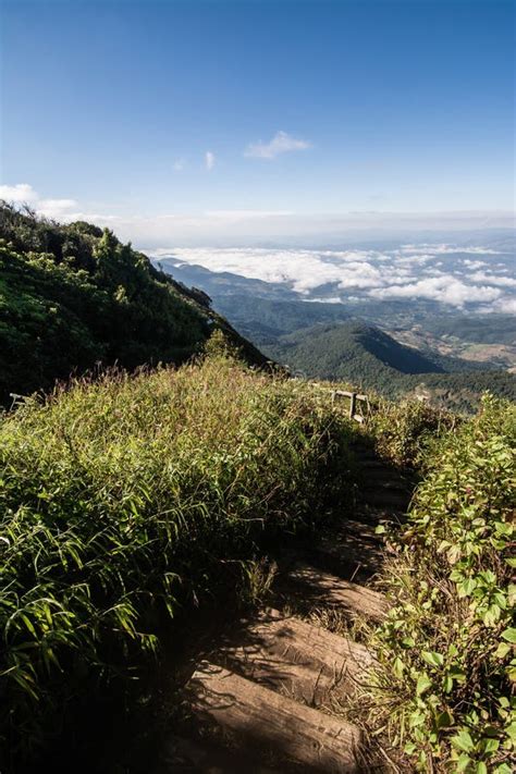 Doi Inthanon National Park The Top Highest Mountain Of Thailand Stock