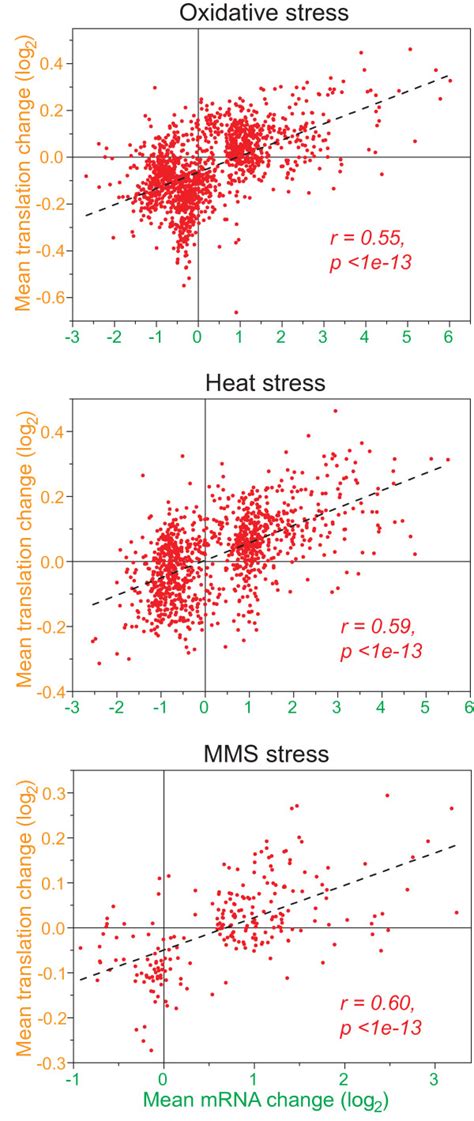 Correlation Between Mrna And Translational Regulation Scatter Plots