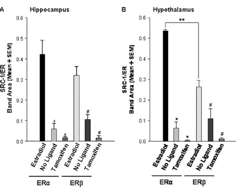 Figure 1 From Steroid Receptor Coactivator 1 From Brain Physically