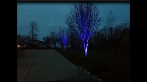 Uplighting Tree's for Christmas - YouTube