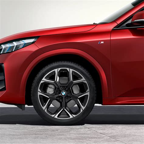 bmw  spoke wheels