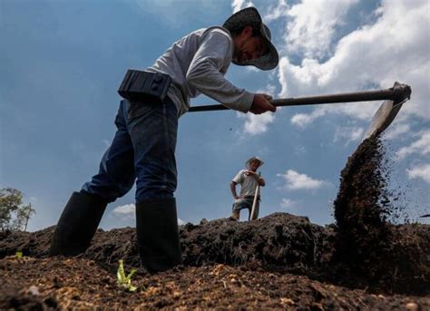 Se Aprueban Hect Reas De Tierra Productiva Para La Reforma