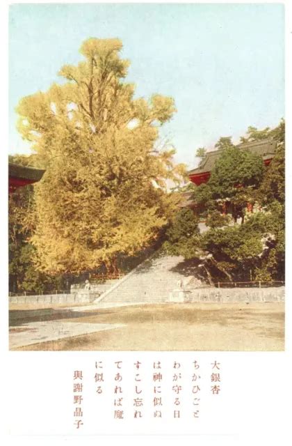 Trees Stairs Tsurugaoka Hachimangu Shinto Shrine In Kamakura Japan