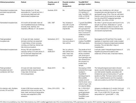 Frontiers Clinical Toxoplasmosis In Dogs And Cats An Update