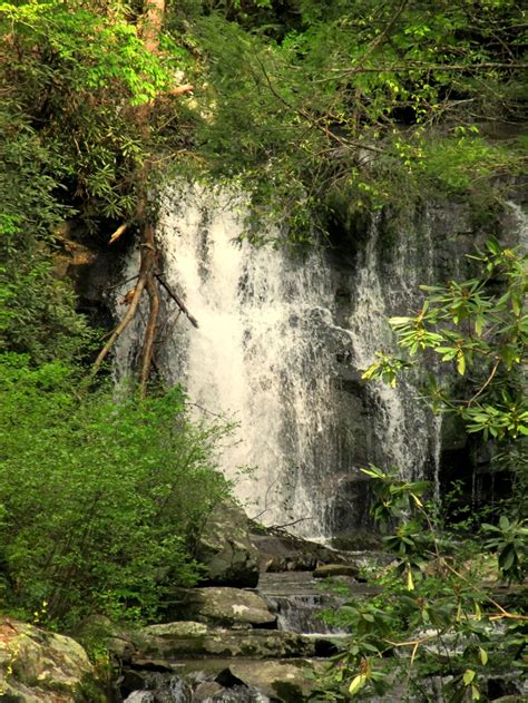 Beautiful Waterfall In Pigeon Forge My Photography Pinterest