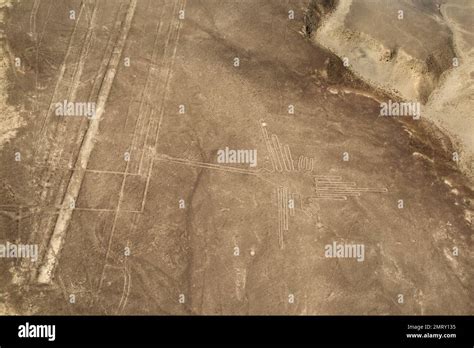 Unesco Heritage Lines And Geoglyphs Of Nazca Peru Stock Photo Alamy