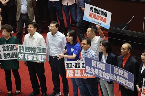 國民黨立院黨團要求陳建仁為進口蛋爭議道歉 圖 中央通訊社 Line Today