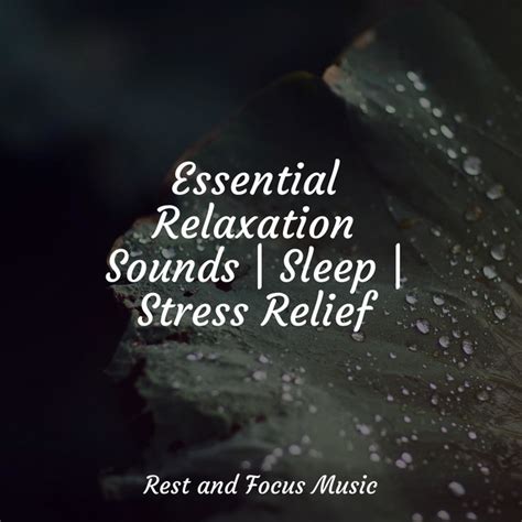 Essential Relaxation Sounds Sleep Stress Relief Album By