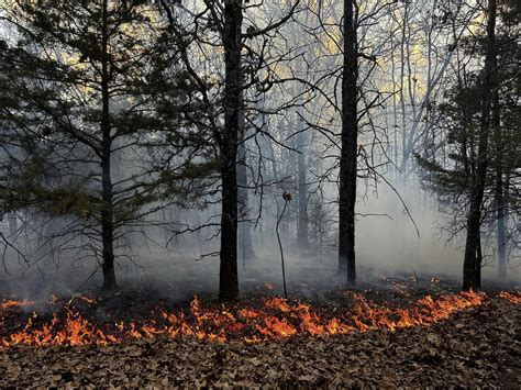 Increased Fire Risk And Reg Flag Warnings Continue For The Ozarks