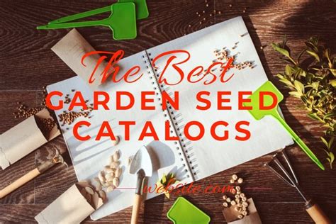 Best Garden Seed Catalogs & Websites