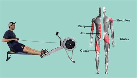 Rowing Machine Workout Before And After EOUA Blog