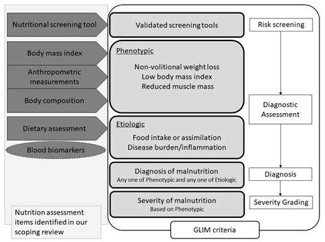 Nutrients Free Full Text Nutritional Assessment In Adult Patients