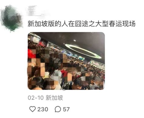 第一批免签去新加坡的中产，已经破产了腾讯新闻