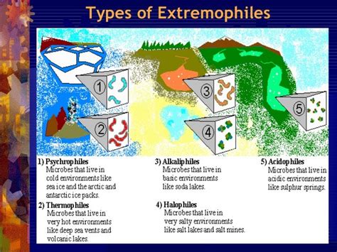 Extremophiles imp. 1