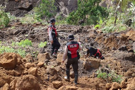 Polisi Kerahkan Anjing Pelacak Cari Korban Longsor Pronojiwo Lumajang