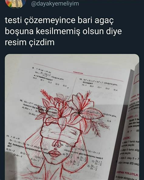 Böyle Harika Yetenekleri Matematikle öldürmekkkk Resim Sanat