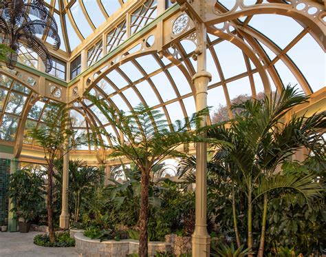 Custom Steel Palm House | Tanglewood Conservatories, Ltd.