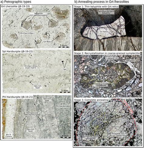 A Thin Section Scans Of Representative Samples From The Three