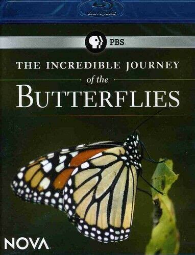 The Incredible Journey Of The Butterflies Blu Ray 2009 For Sale