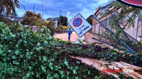 Alberi Sradicati Auto Distrutte Dalla Grandine Notte Di Paura In