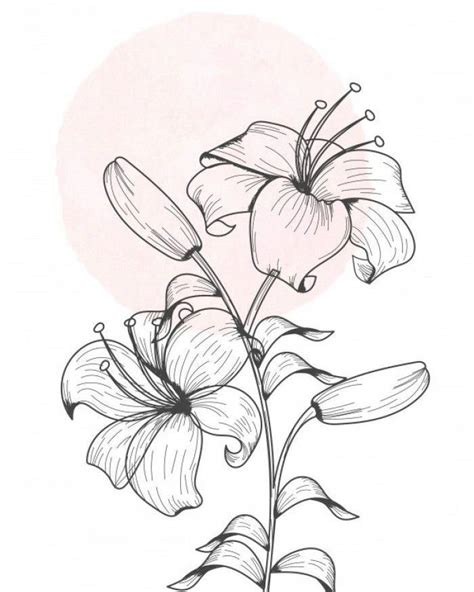 A Black And White Drawing Of Flowers On A Light Pink Background With