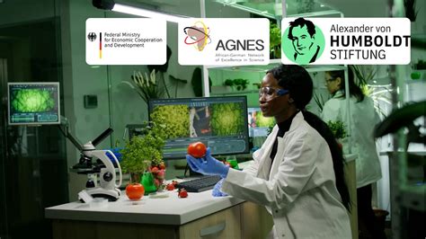 2024 AGNES Intra-Africa Mobility Grants for Junior Researchers - AGNES