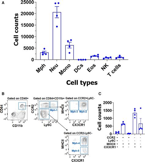 Frontiers Transcriptional Profiles Of Non Neuronal And Immune Cells