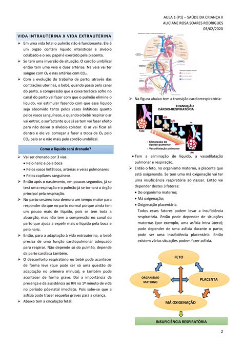 01 problemas respiratórios do recém nascido PDF