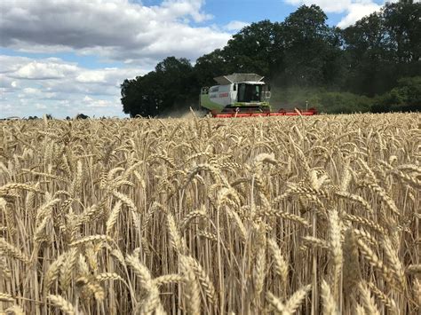 Top Farms liderem rolnictwa zrównoważonego