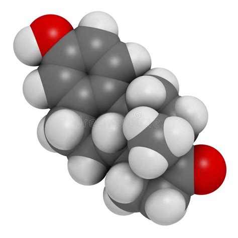 Estrone Oestrone Molécula De La Hormona Estrogénica Humana Los átomos