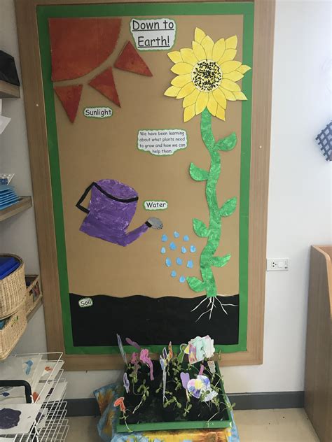 Growing Display Eyfs Early Years Classroom Eyfs Plant Needs