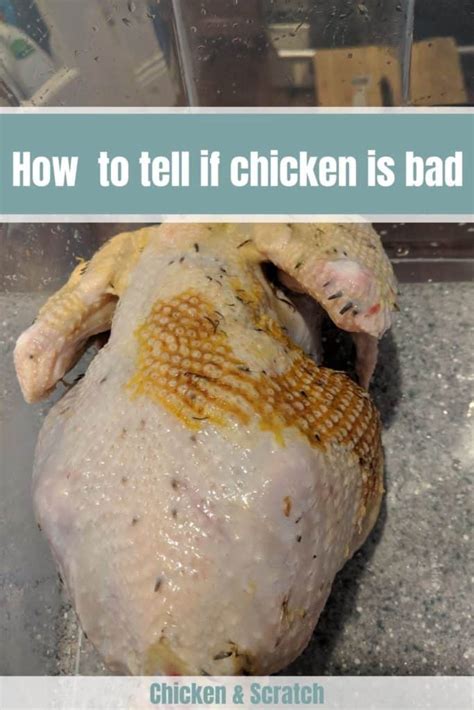 Ways To Tell If Chicken Is Bad