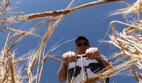 Welcome to the USDA Northern Plains Climate Hub | USDA Climate Hubs