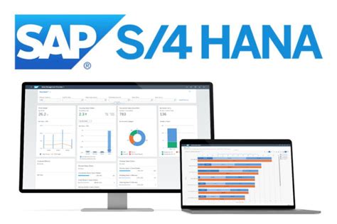 Quel Erp Choisir Sap S Hana Cloud Ou On Premise