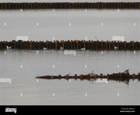 coast lines  res stock photography  images alamy